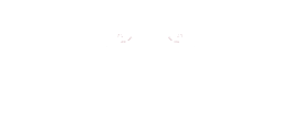 Dosa N Chaat Khazana